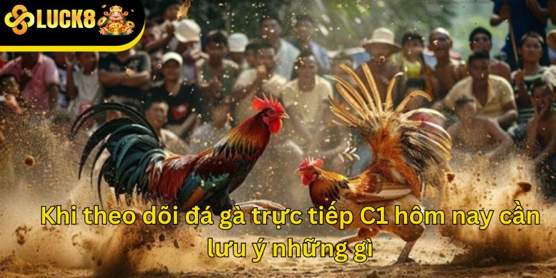 Khi theo dõi đá gà trực tiếp C1 hôm nay cần lưu ý những gì