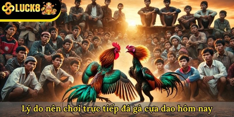 Lý do nên chơi trực tiếp đá gà cựa dao hôm nay