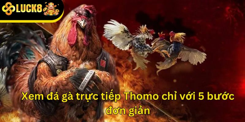 Xem đá gà trực tiếp Thomo chỉ với 5 bước đơn giản